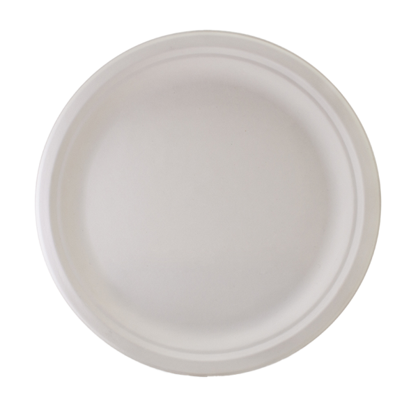 Future Friendly Sugarcane Round Plates Size: 10