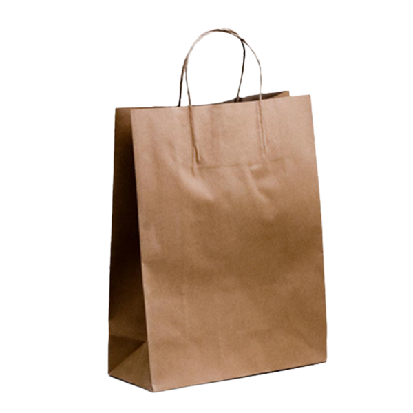 Brown Twisted Handle Kraft Paper Bag