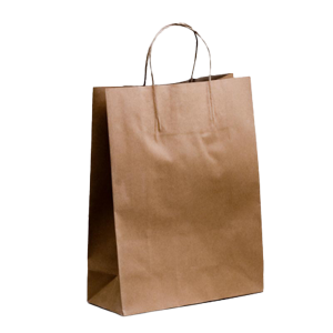 brown paper twisted handle bag